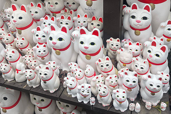 Welcoming the lucky cat to our menagerie!